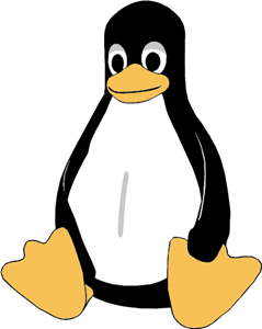 Digital Signage on Linux OS